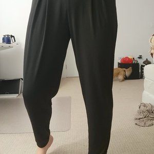 Express Silky Joggers (Size M)
